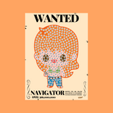 Pirate Navigator