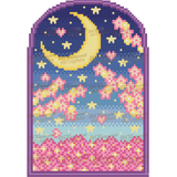Starry Night Sky